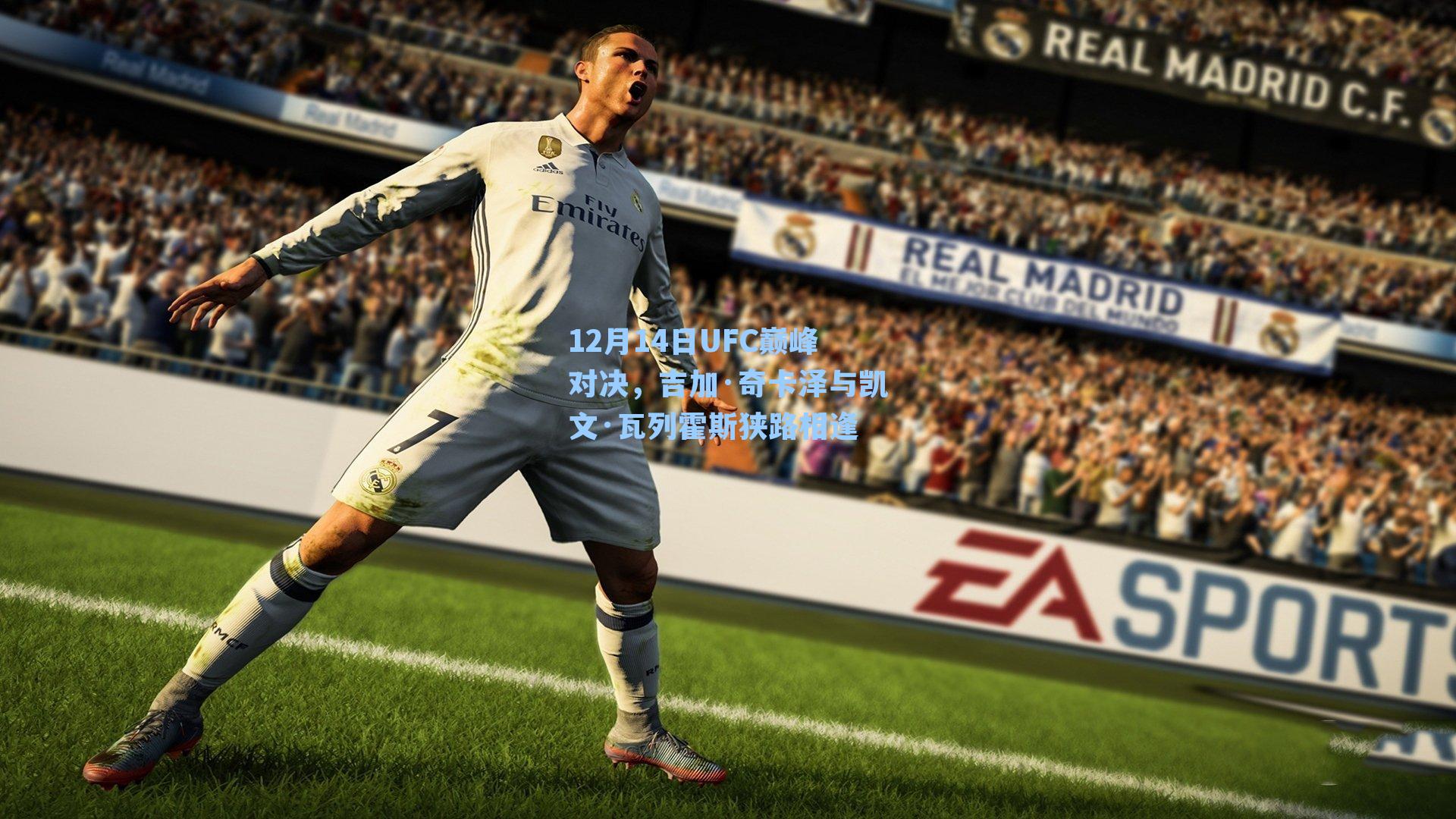 12月14日UFC巅峰对决，吉加·奇卡泽与凯文·瓦列霍斯狭路相逢