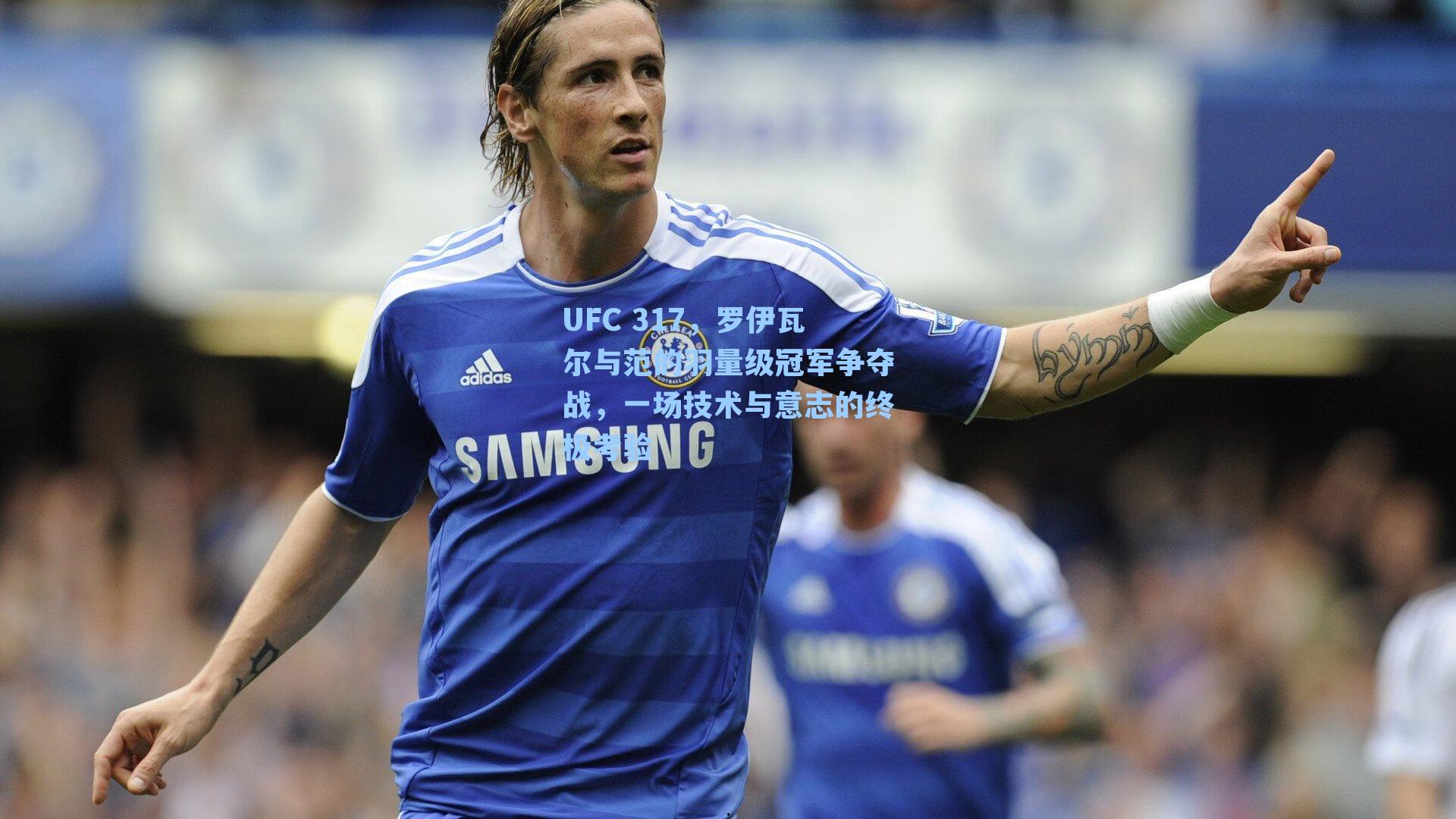 UFC 317，罗伊瓦尔与范的羽量级冠军争夺战，一场技术与意志的终极考验