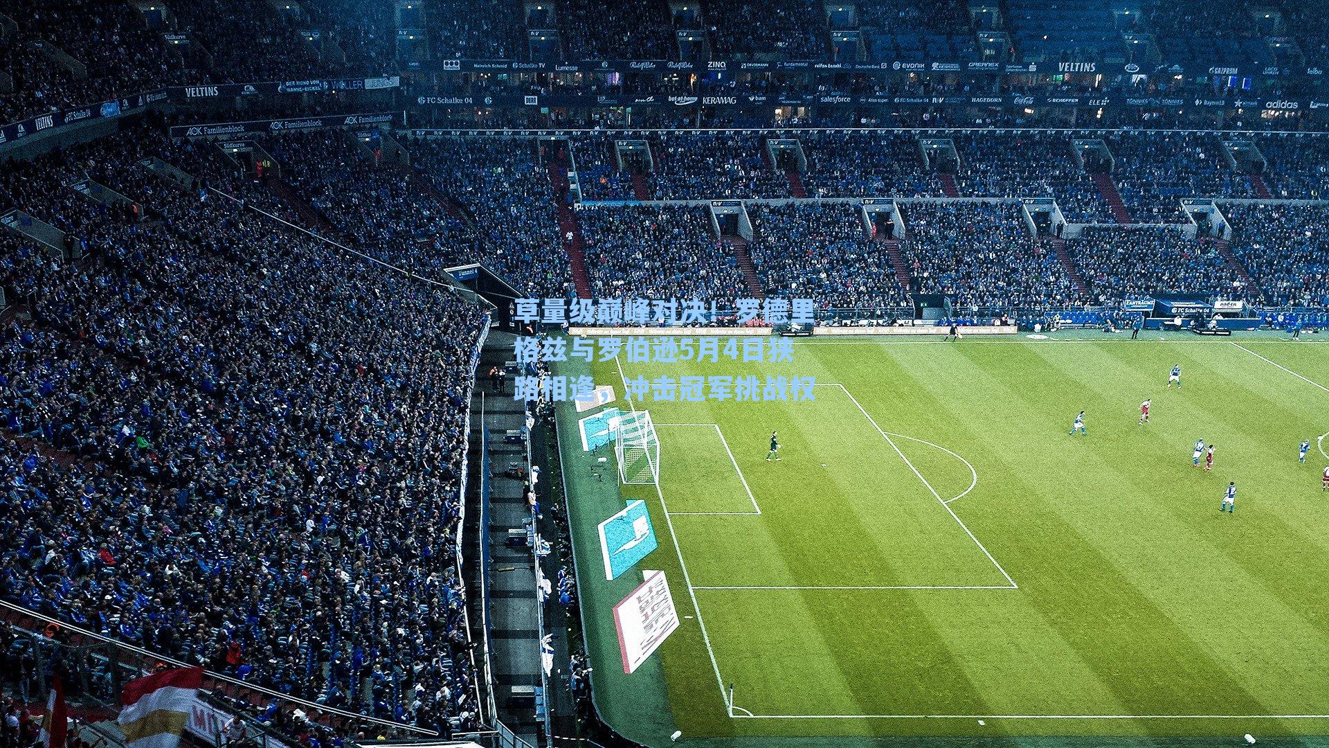 草量级巅峰对决！罗德里格兹与罗伯逊5月4日狭路相逢，冲击冠军挑战权